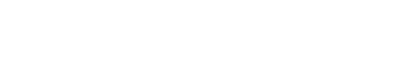 The University of Texas at Austin School of Information
