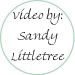 Flash Video